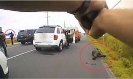 美国警察爆料视频大全集,揭露真相与争议瞬间